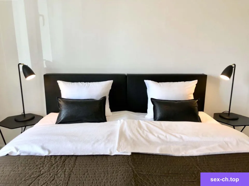 Bester Preis! Zimmer oder ganzes Apartment in Zentrum Stadt Zürich — Foto 1